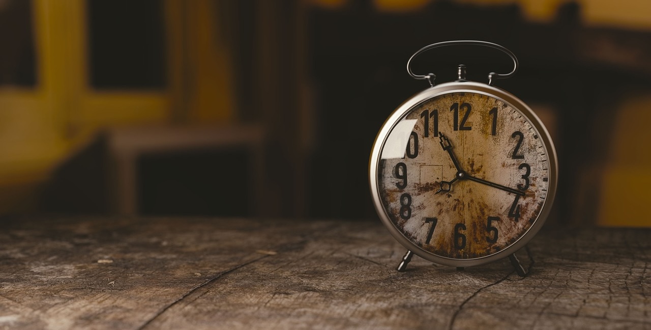 Zegar biologiczny organizmu